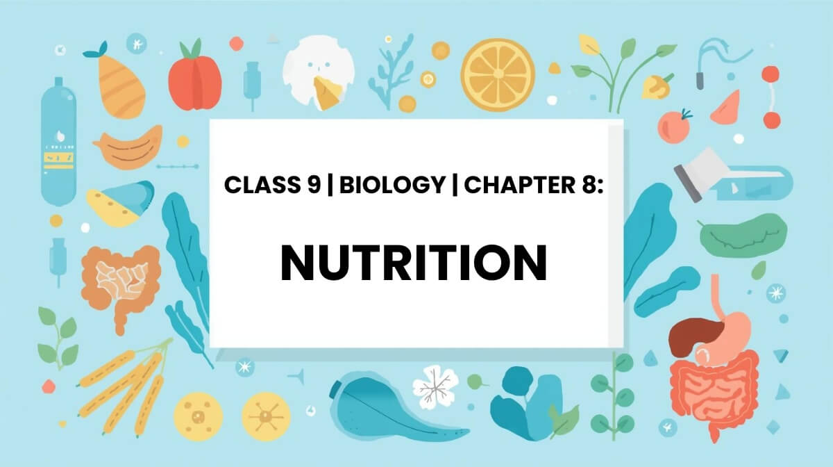 Class 9 Biology Chapter 8 Nutrition MCQs
