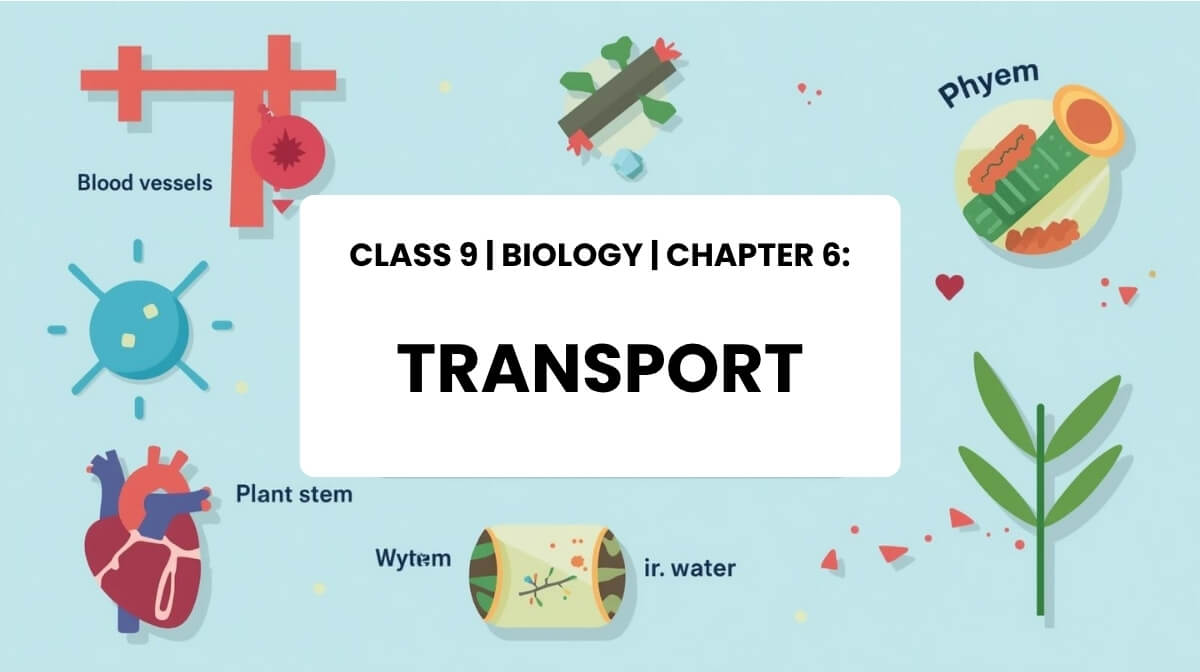 Class 9 Biology Chapter 9 Transport MCQs
