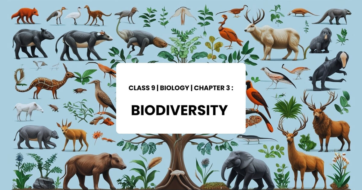 Class 9 Biology Chapter 3 Biodiversity MCQs