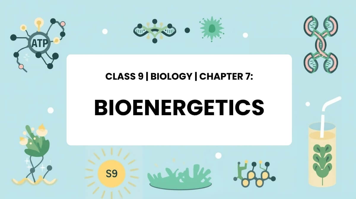 Class 9 Biology Chapter 7 Bioenergetics MCQs