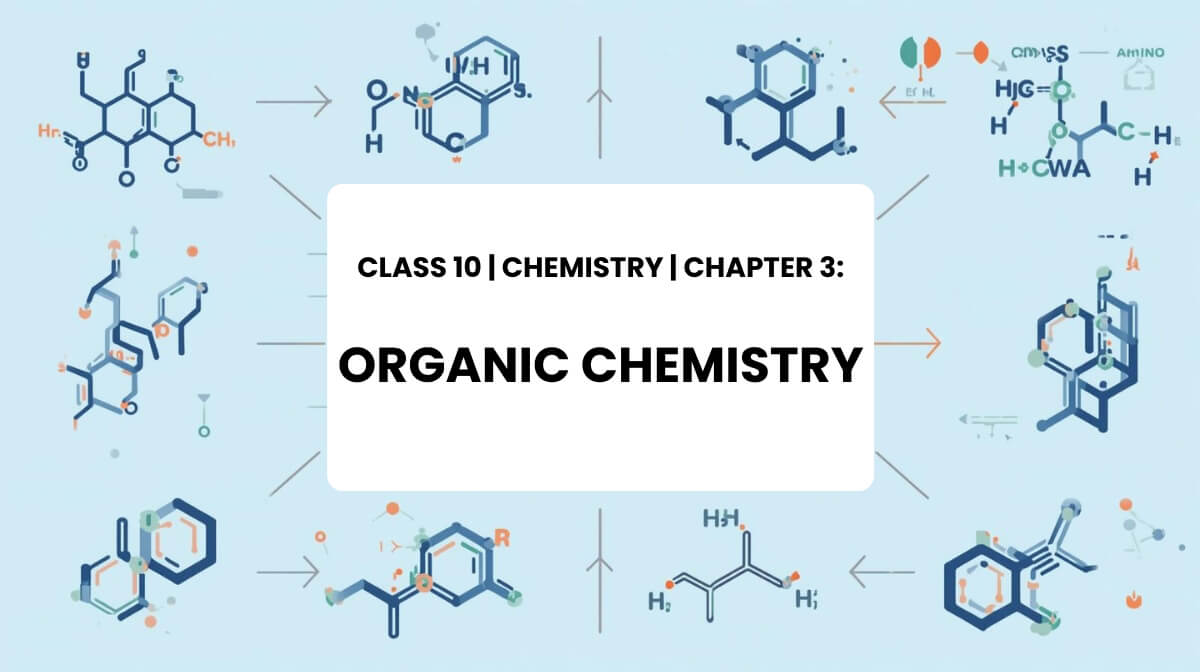 Illustration of carbon chains and functional groups for Class 10 Chemistry Chapter 3 Organic Chemistry.