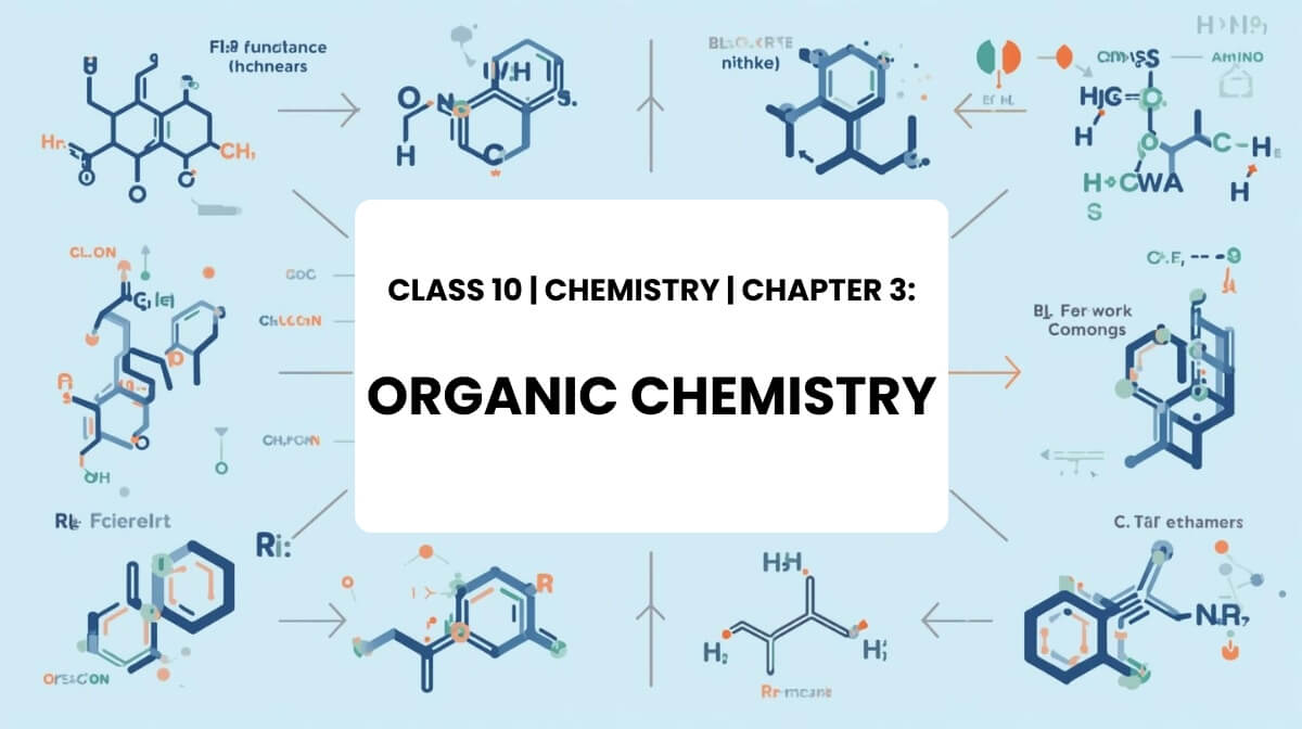 Illustration of carbon chains and functional groups for Class 10 Chemistry Chapter 3 Organic Chemistry.