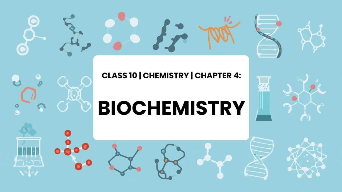 Class 10 Chemistry Chapter 4 Biochemistry illustration with DNA, proteins, and biomolecules.