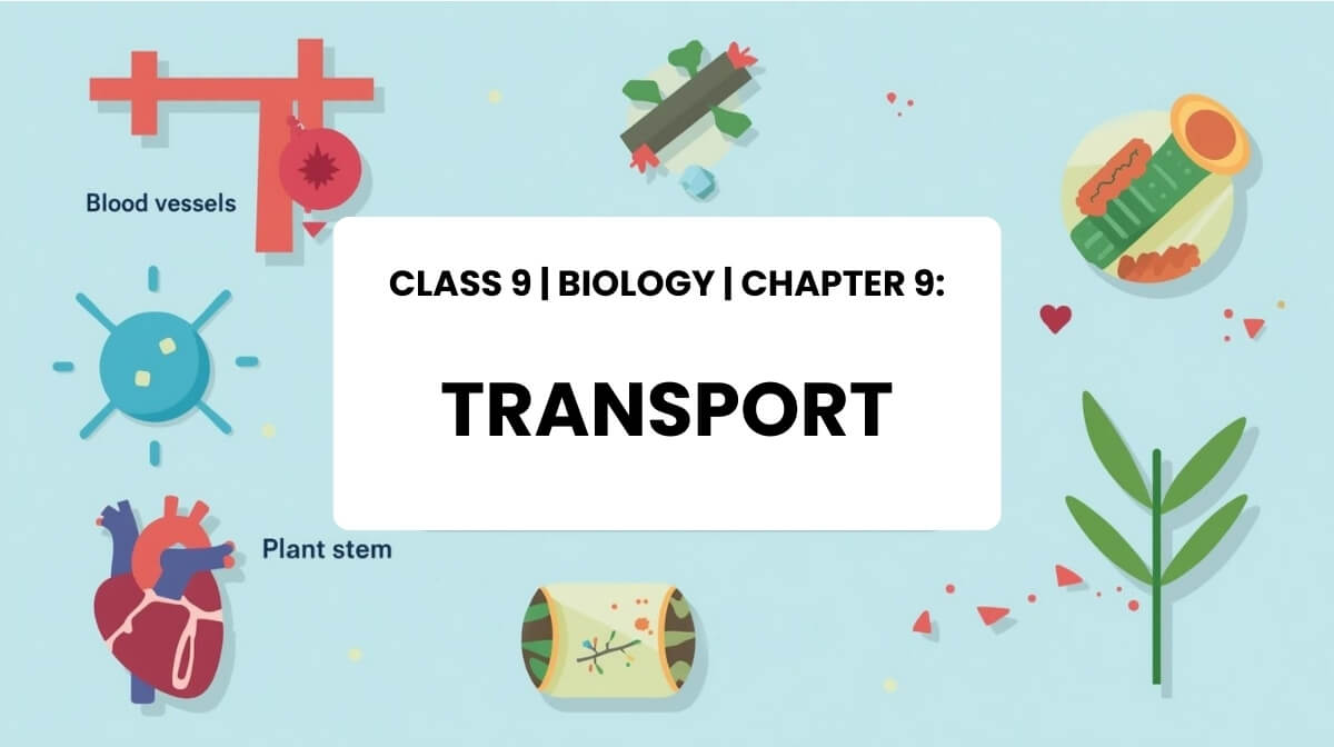 Class 9 Biology Chapter 9 Transport MCQs