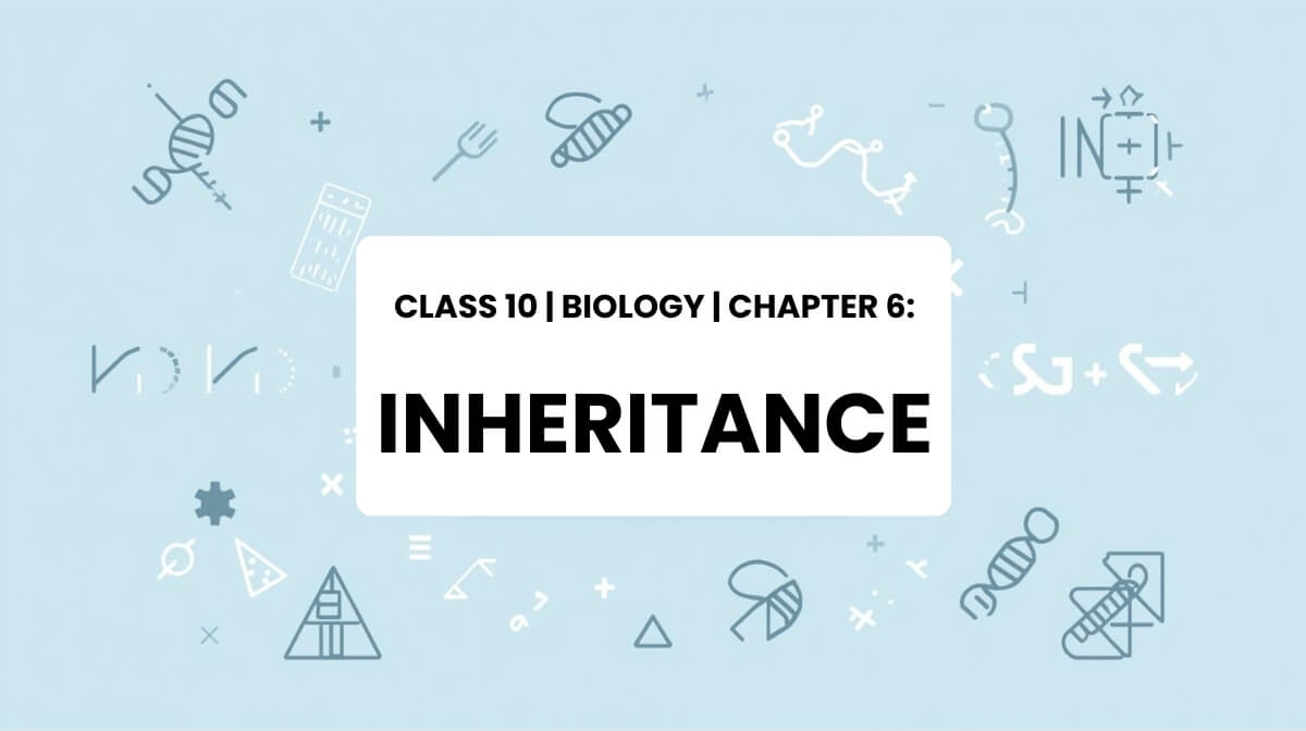 Genetics and inheritance illustration for Class 10 Biology MCQ chapter image